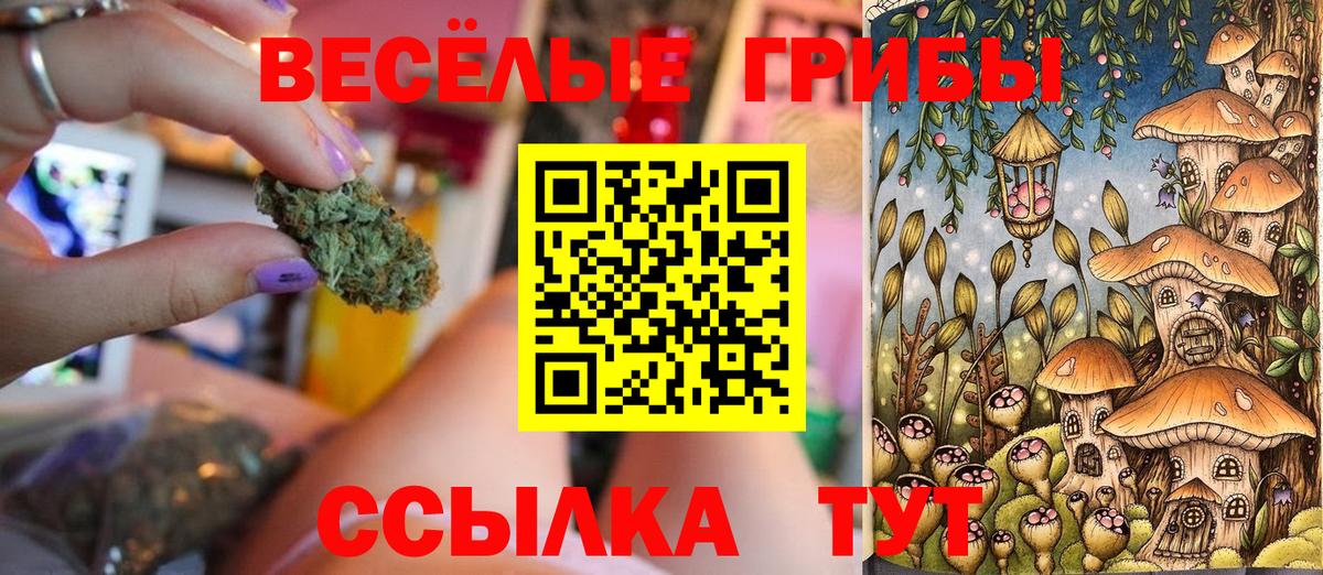 Псилоцибиновые грибы GOLDEN TEACHER Саянск