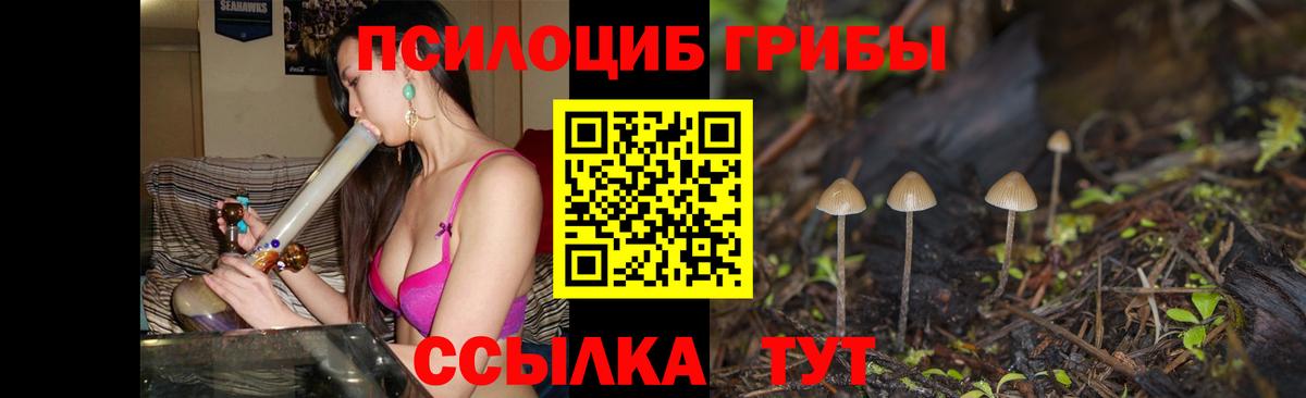 Псилоцибиновые грибы Psilocybe  Вход с VPN  Саянск 